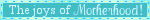 bsm_motherhood.gif