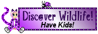purplediscoverwildlifeblinkie.gif